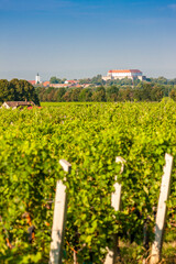 Fototapeta na wymiar vineyards and Siklos castle, Hungary