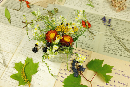 Dekoratives Arrangement mit frischen Wildblumen und Kräutern  vor dem Hintergrund alter Briefe