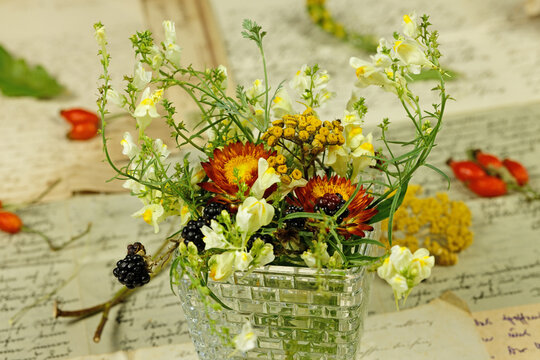 Hochsommerliche Tischdekoration mit Kräutern, Blumen und Früchten - Nahaufnahme