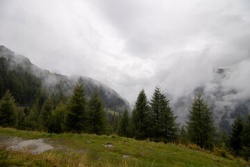 landscape in the morning