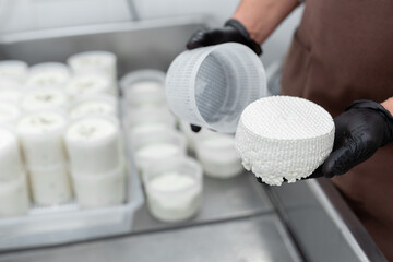 Filling molds for the production of soft cheese. The cheese blanks are soaked in brine.