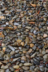 雨に濡れた玉砂利