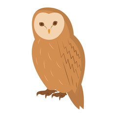 Vector graphic of owl. Simple brown owl illustration with flat design style. Suitable for content design assets