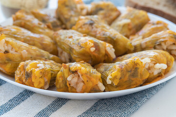 Traditional delicious Turkish - Greek cuisine, Turkish food; Stuffed zucchini flowers (Turkish name; kabak cicegi dolmasi)