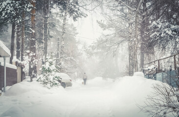 A woman walks her dog down a street in the village in winter. Walking the dog. Portrait from the back. Selective focus, snow grain