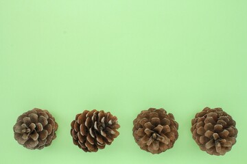 Pine fir cones of coniferous tree isolated on green background. Creative christmas holiday composition. Decoration for postcard. Top view, copy space, flat lay, close up