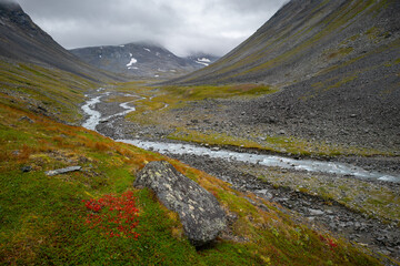 Fototapeta na wymiar Wild river flowing through harsh, remote arctic valley on a cloudy, rainy day of summer. Basstavagge pass in Sarek National Park, Lapland, Sweden. Hiking in remote arctic wilderness of Laponia.