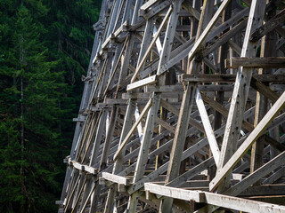 historical kinsol trestle wooden bridge in the forest