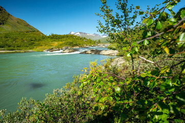 Fototapeta na wymiar Wild glacial river flows through remote, green Arctic landscape on a sunny day of summer. Njoatsosjahka river and Ryggasberget mountain on the horizon in Sarek National Park, Sweden.