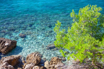 Rocks in transparent sea water . Pine growing at seaside