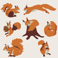 set of funny squirell