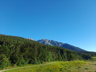 paesaggi montagna natura fiori alberi cielo verde
