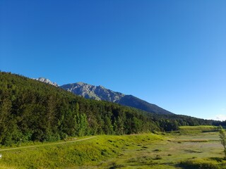 paesaggi montagna natura fiori alberi cielo verde