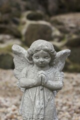 Fototapeta na wymiar statue of a angel in a cemetery