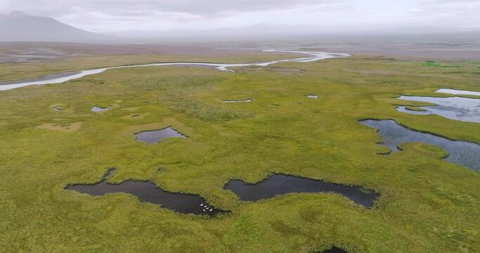 Aerial view of ponds with whooper swans, grassland and river Sanda in the highlands of Iceland.