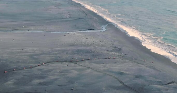 Aerial view of 21 orange quads driving in a long row over a black beach, Solheimasandur, south Iceland.