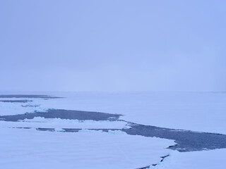 north pole