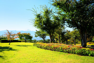 Plakat 笛吹川フルーツ公園　富士山　山梨県山梨市江曽原の風景