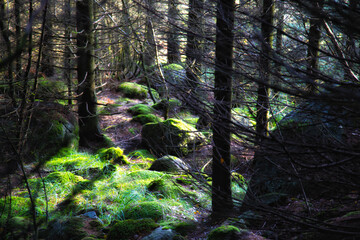 Gra świateł © marecki79