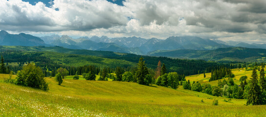 Mountains landscape with rolling hills, trees and meadows in tatras, Poland