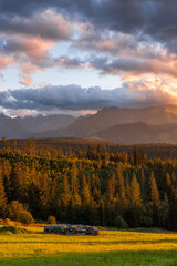 Sunset in Carpathian mountains, colorful sky at golden hour over pine forest