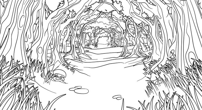 Forest Woodland Trees Path Coloring Book Scene