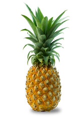 Obraz premium Pineapple slice isolated. Pineapple on white With clipping path