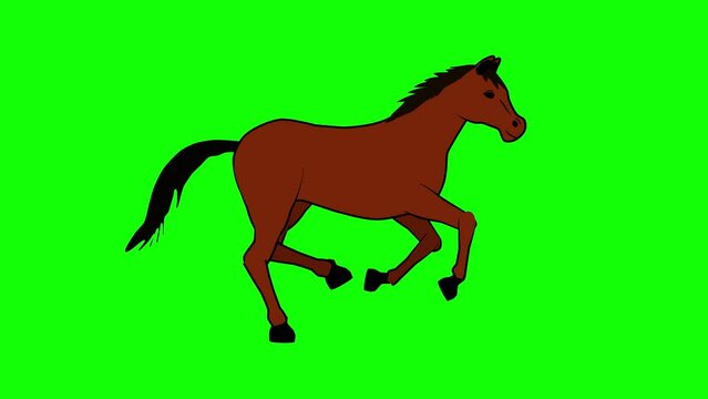 2d animation horse cartoon runs green screen