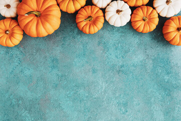 Autumn Thanksgiving background. White and orange pumpkins harvest on blue table top view.