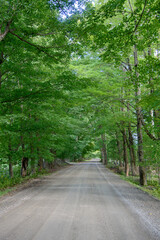 Fototapeta na wymiar Small rural road in the Canadian countryside in the province of Quebec