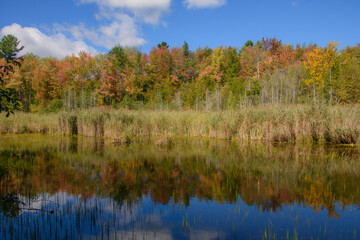Beautiful  fall colors in the Canadian countryside in the province of Quebec