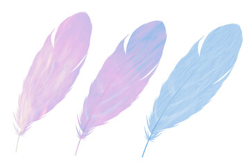 Set of pink and light blue pastel color feather isolated on white background. illustration feather romantic style concept.