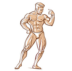 Fitness men posing. Muscular man stands, rippling athlete, sprinter. Vector drawing