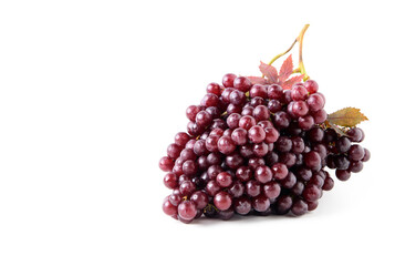 Champagne grapes isolated on white background.