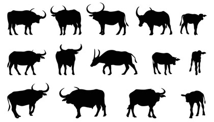 Vector image of an buffalo silhouette on white background.vector isolated buffalo with black color design illustration