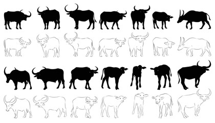 Vector image of an buffalo on white background.vector isolated buffalo with black color design illustration