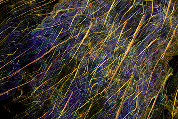 Abstract background shape design template, futuristic background, art shape pattern, Multicolour wall background. colourful textured. Transparent lines and spots. Texture backdrop. Abstract background