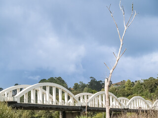 White arching structure of Tuakau Bridge