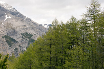 A mountain landscape near Bormio