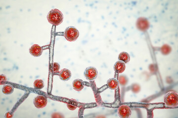 Emmonsia microscopic pathogenic fungi, 3D illustration