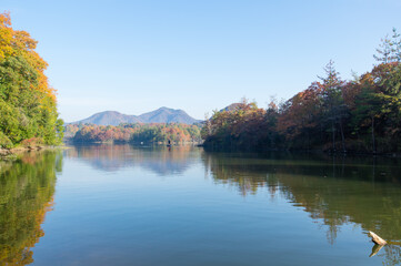 Fototapeta na wymiar 千丈寺湖（兵庫県三田市）の秋