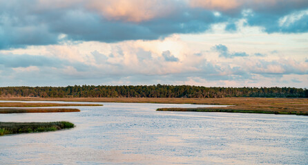 cloudy sky over swamp