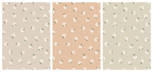 Cute Daisies Seamless Pattern Set on Neutral Earthy Backgrounds. Simple Hand Drawn Vector Illustration. Great for Textile, Fabric Prints, Wrapping Paper.