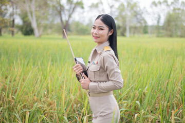Thai rural teacher in rice field,Portrait of asian woman on field,countryside thailand.