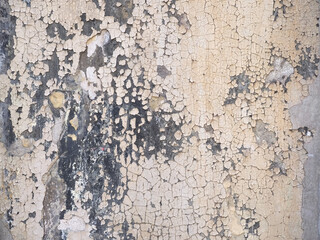dampness moisture on wall