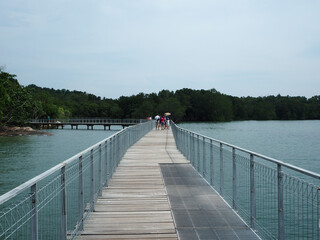 Obraz premium Boardwalk overlooking sea in Chek Jawa, Pulau Ubin, Singapore