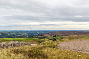 Fototapeta premium landscape in the countryside