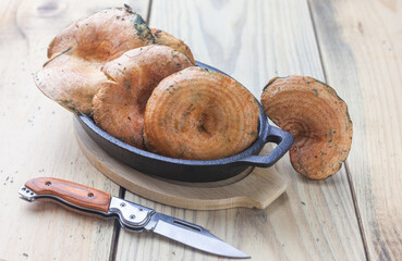 Setas de temporada, Níscalo o Robellón de otoño sobre la mesa