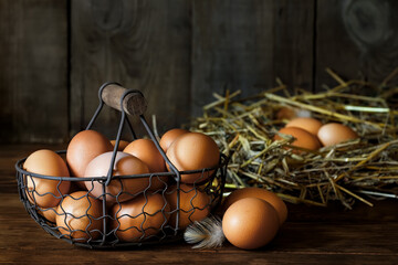 chicken eggs in basket and in nest