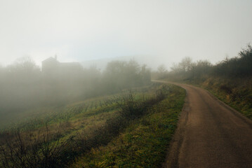 Une route de campagne et du brouillard. Nuages bas. Chemin viticole en hiver. Météo humide. Chemin dans le vignoble. Brume matinale